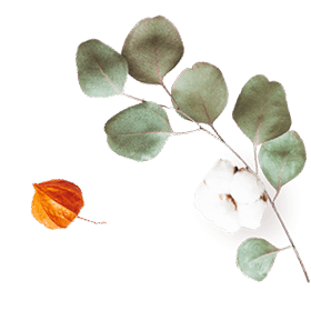floating_image_07 https://gristzel-y-itzell.click/wp-content/uploads/2020/10/floating_image_07.png