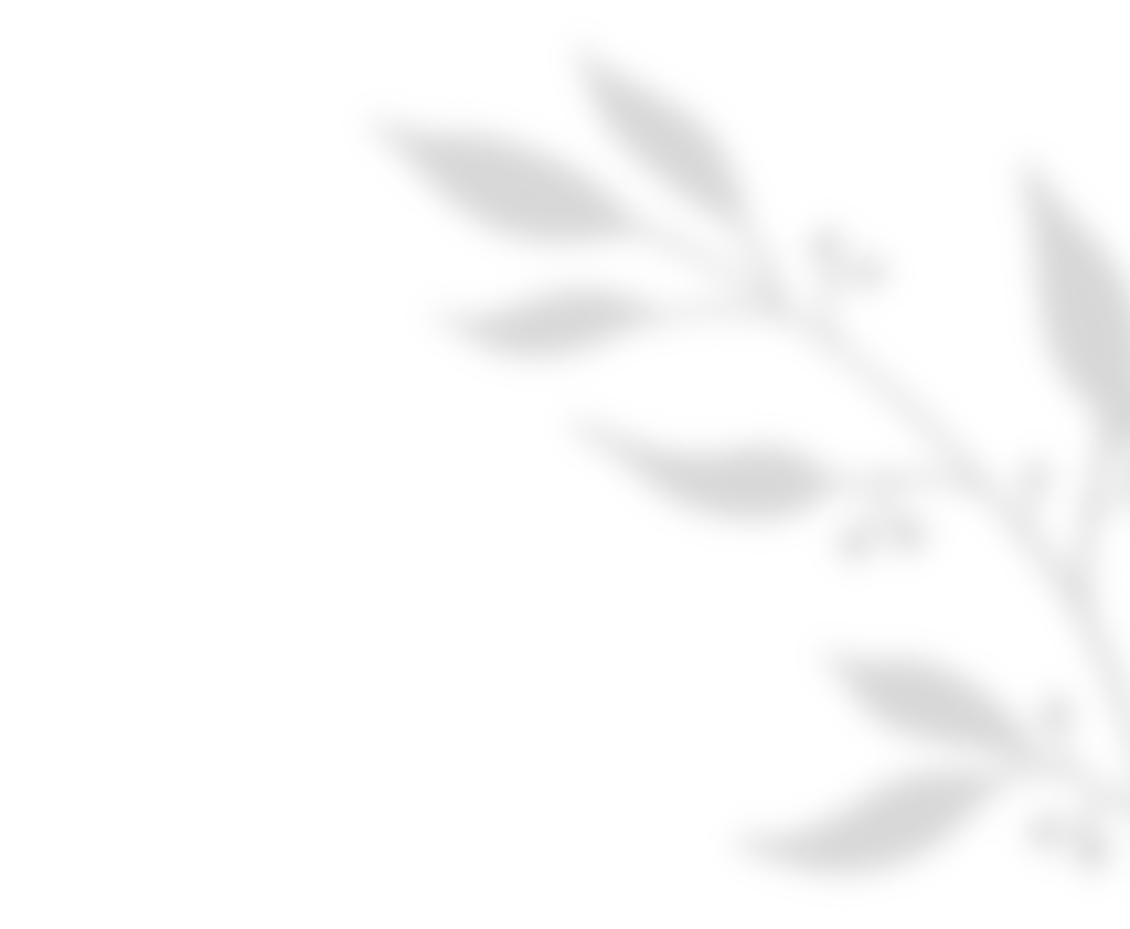https://gristzel-y-itzell.click/wp-content/uploads/2020/11/shadow_leaves_01.png